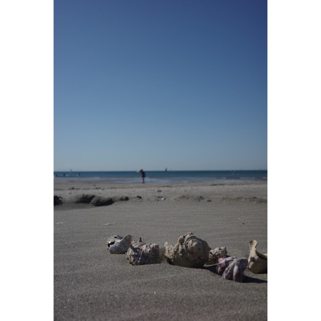 2025.10.22のフォトエッセイ