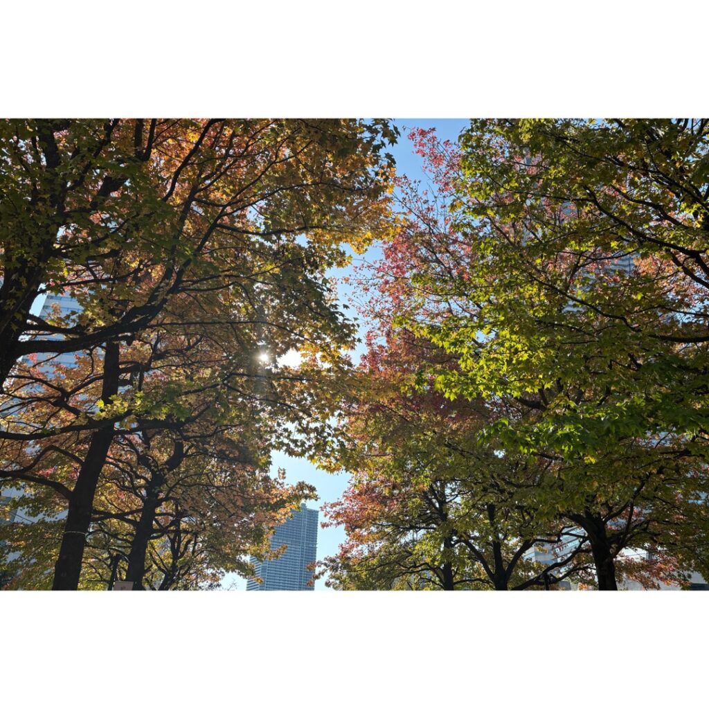 2025.11.07のフォトエッセイ